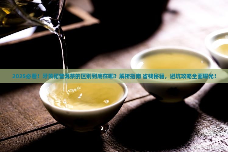 牙黄和普洱茶的区别 牙黄和普洱茶的区别