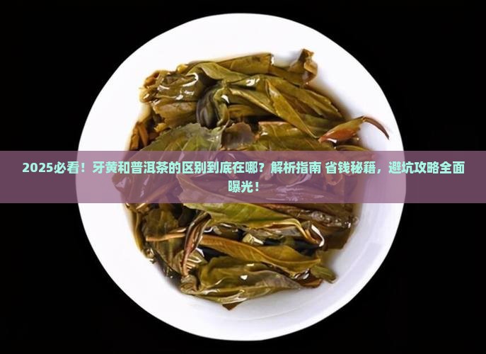 牙黄和普洱茶的区别 牙黄和普洱茶的区别