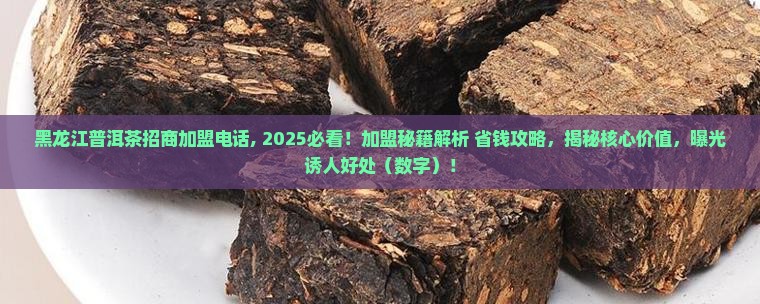 黑龙江普洱茶招商加盟电话
