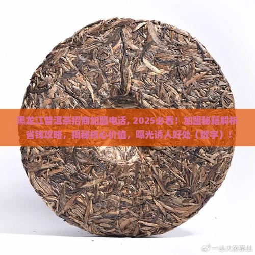 黑龙江普洱茶招商加盟电话
