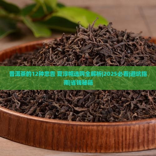 普洱茶的12种忠告夏淳帽