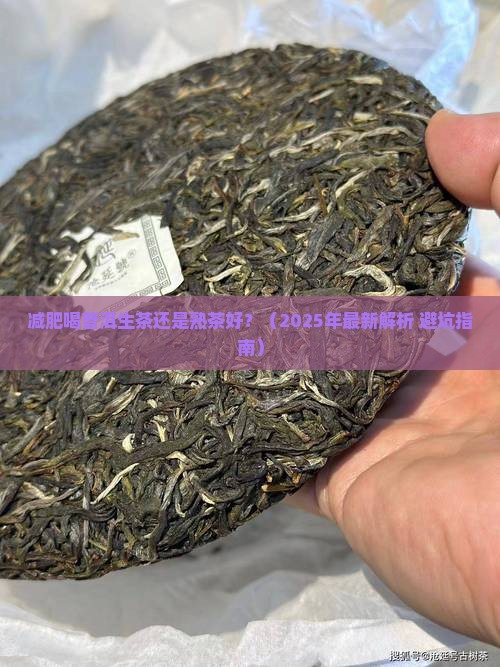 减肥喝普洱生茶还是熟茶好