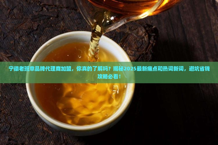 宁德老班章品牌代理商加盟