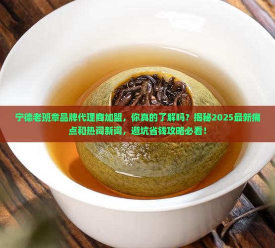 宁德老班章品牌代理商加盟