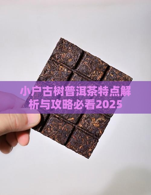 小户塞普洱茶讲解 小户塞普洱茶讲解