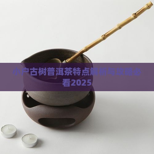 小户塞普洱茶讲解 小户塞普洱茶讲解
