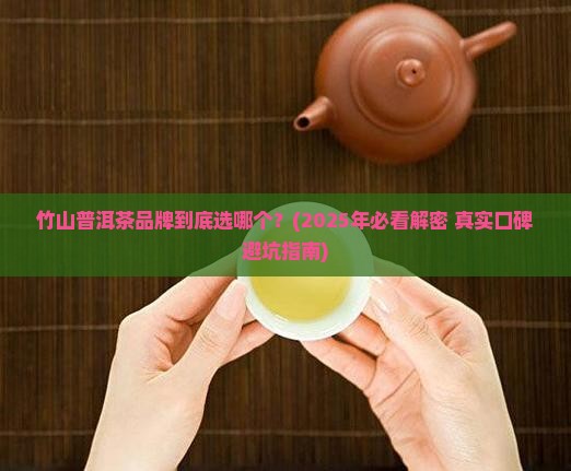 竹山普洱茶品牌 竹山普洱茶品牌