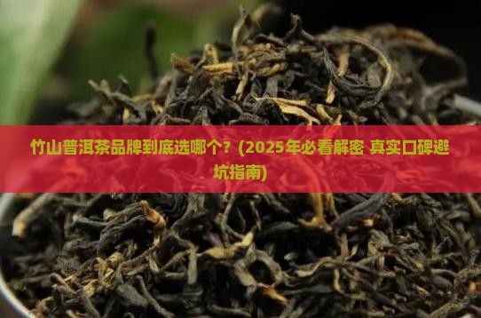 竹山普洱茶品牌 竹山普洱茶品牌