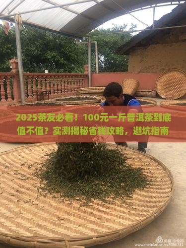 100元一斤的普洱茶好吗