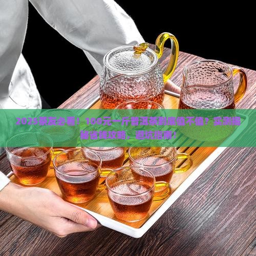 100元一斤的普洱茶好吗