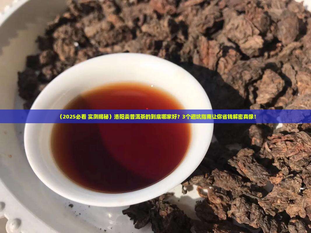 洛阳卖普洱茶的