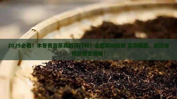 木冬青可以泡茶喝吗