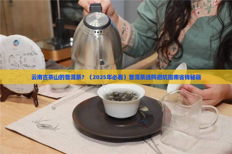 云南古茶山的普洱茶