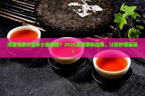 泡普洱茶要多少水温