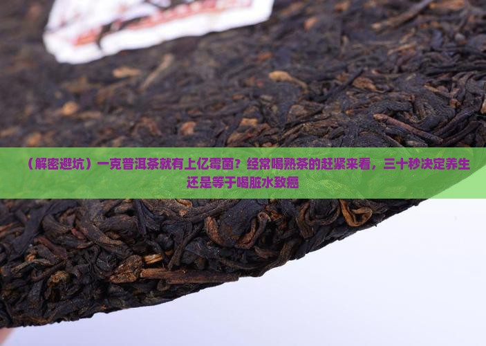 一克普洱茶上亿霉菌