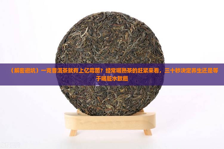 一克普洱茶上亿霉菌