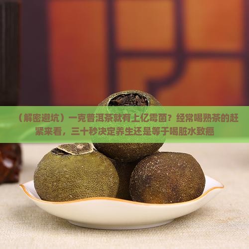 一克普洱茶上亿霉菌