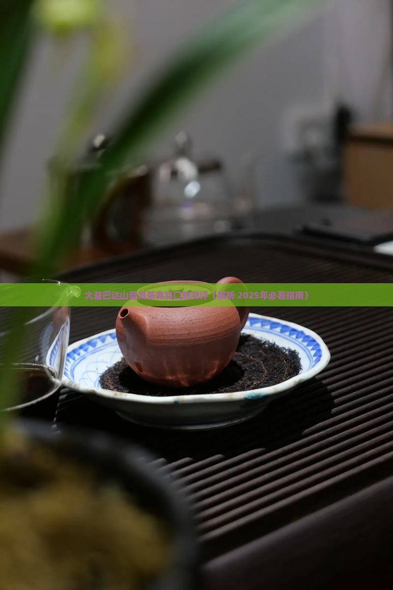 大益巴达山普洱茶好不好