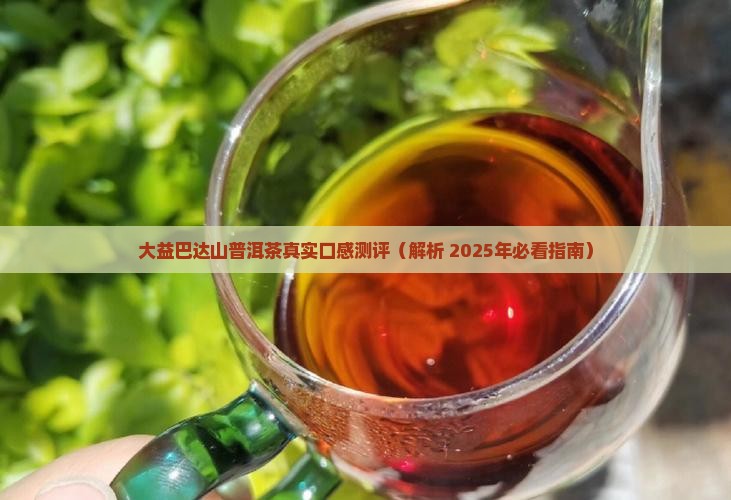 大益巴达山普洱茶好不好