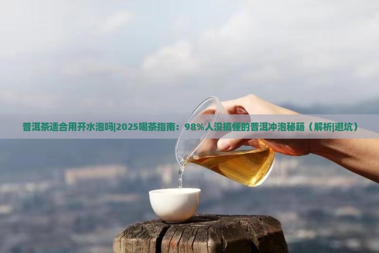 普洱茶适合用开水泡吗