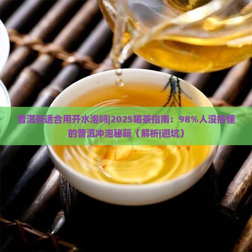 普洱茶适合用开水泡吗