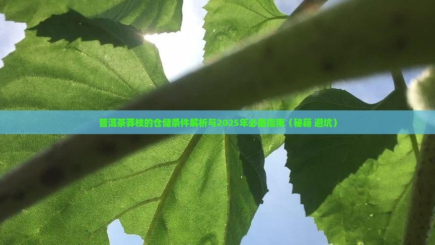 普洱茶莽枝的仓储条件