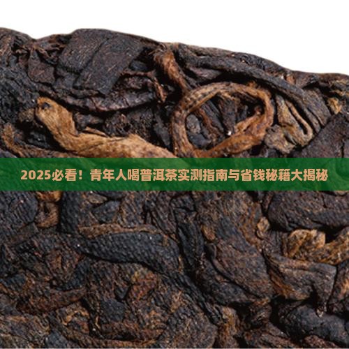 青年人能喝普洱茶吗