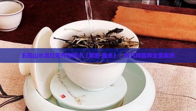 五指山水满红茶外形很小