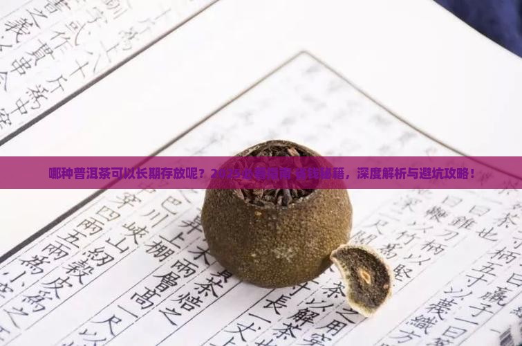哪种普洱茶可以长期存放呢