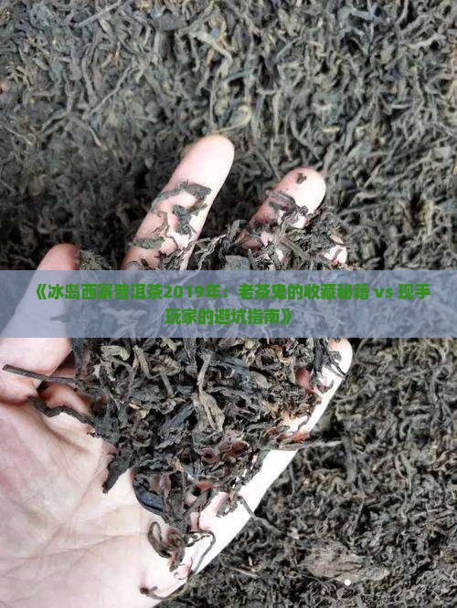 冰岛西寨普洱茶2019年