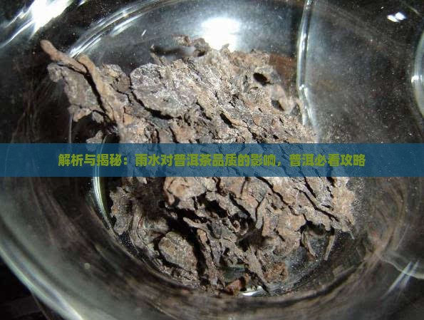 雨水对普洱茶的影响