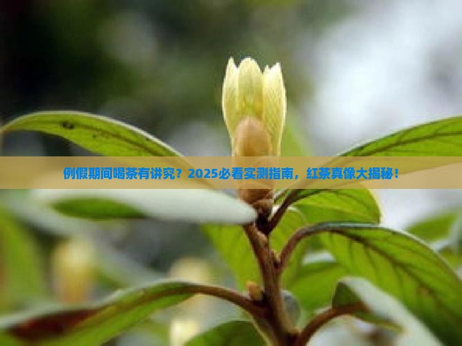 例假不能喝红茶吗