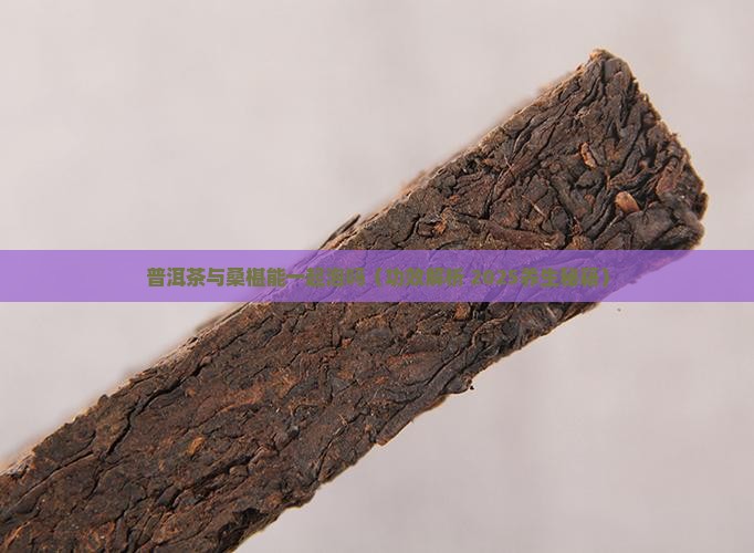 普洱茶与桑椹能一起泡吗