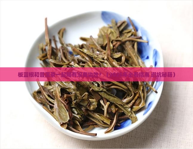 板蓝根喝普洱茶
