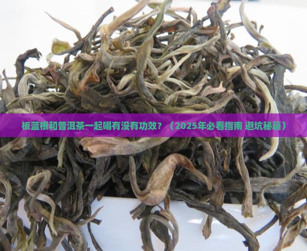板蓝根喝普洱茶