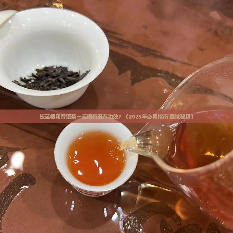板蓝根喝普洱茶