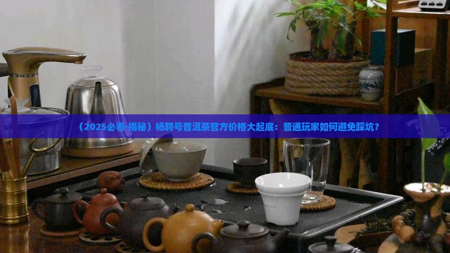 杨聘号普洱茶官方价格