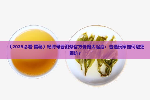 杨聘号普洱茶官方价格