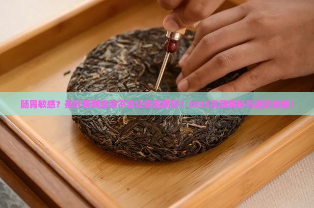 肠胃不好的人喝茶叶茶会拉肚子吗