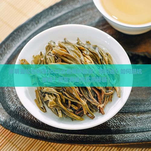 象明曼松古树茶