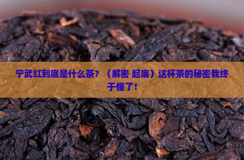 宁武红是什么茶
