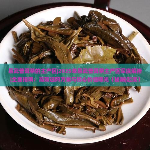 易武普洱茶的主产区