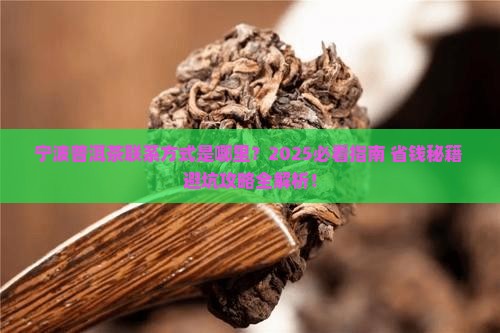 宁波普洱茶联系方式是