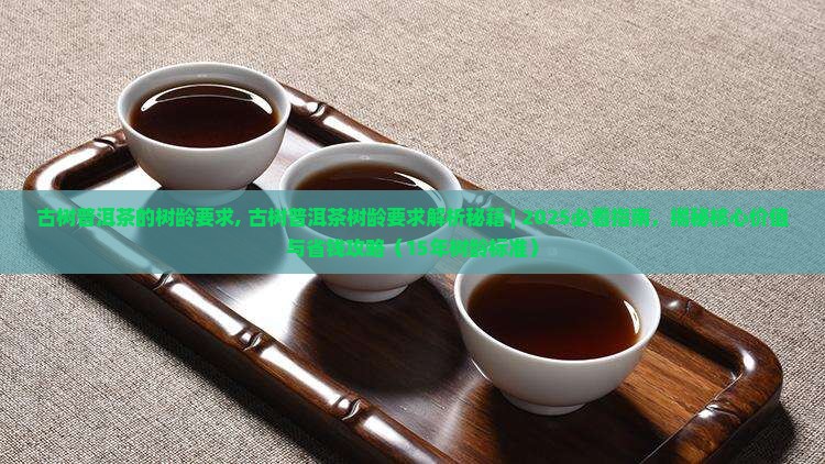 古树普洱茶的树龄要求