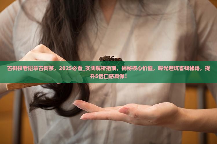 古树杈老班章古树茶
