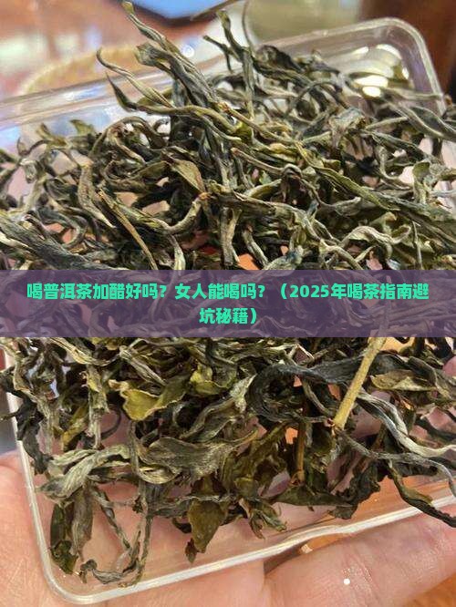 喝普洱茶加醋好吗女人能喝吗