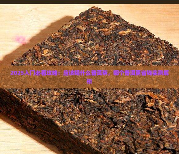 新入门应该喝什么普洱茶
