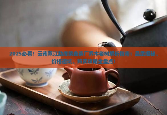 云南双江勐库荣鑫茶厂乔木老树