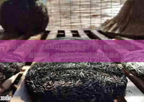 云南双江勐库荣鑫茶厂乔木老树