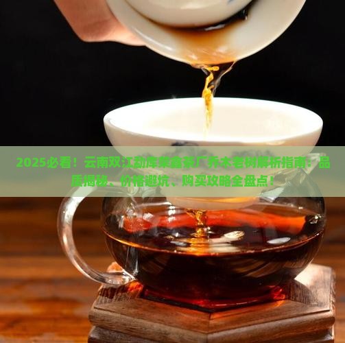 云南双江勐库荣鑫茶厂乔木老树